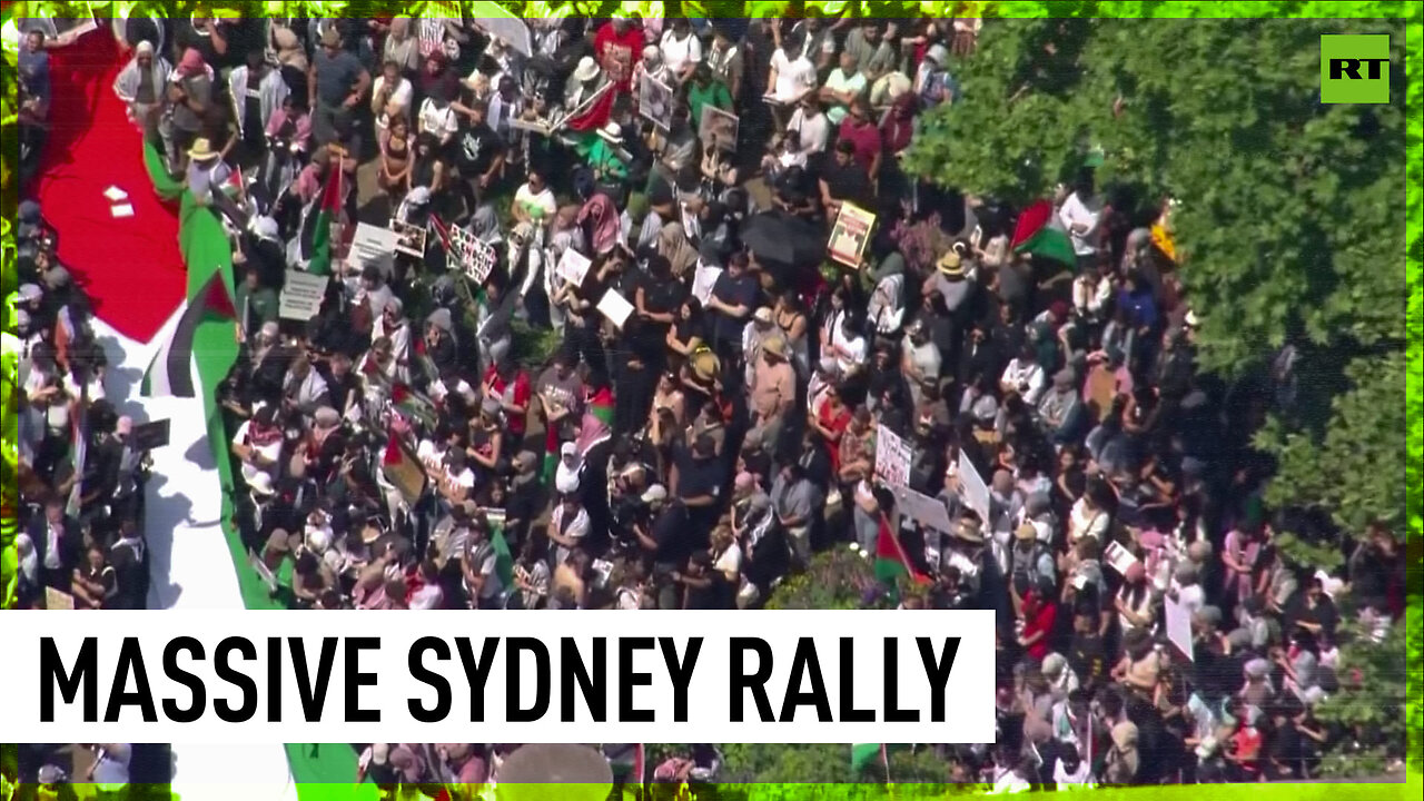 ‘Palestine will never die’: Protest in support of Gaza held in Sydney