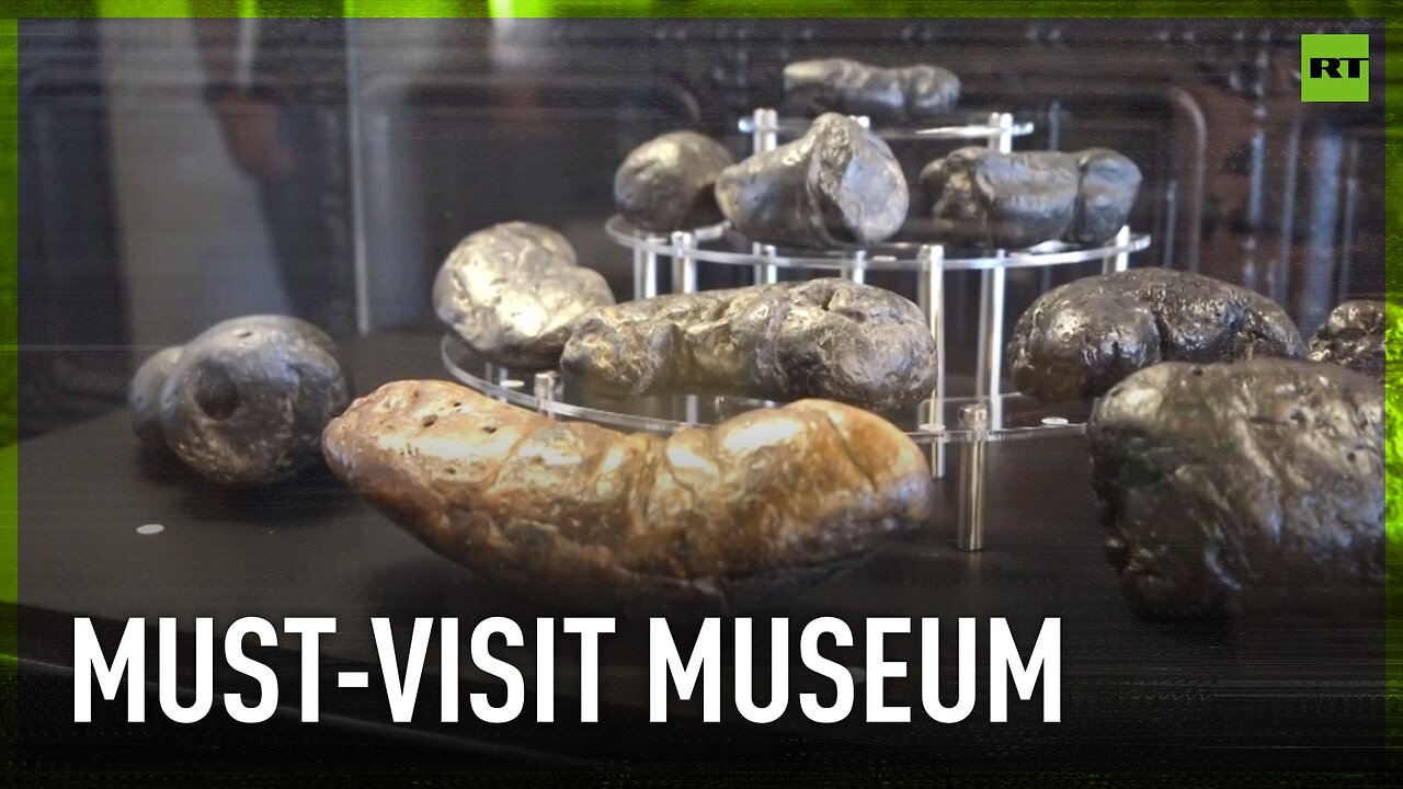 Oh, S**t! | Arizona poop museum 'Poozeum' exhibits unique collection