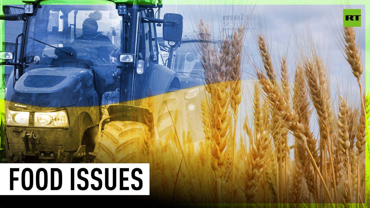 EU backs Ukrainian food access until 2025 despite damage to its agri-sector