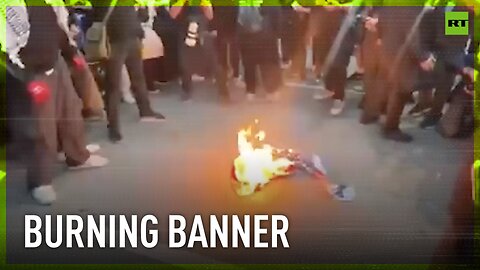 Man attempts to rescue US flag from burning during Chicago protest, but fails