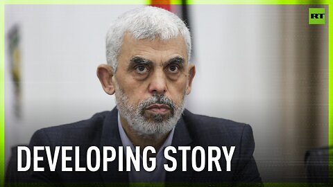 Hamas leader Yahya Sinwar killed by IDF in Gaza – reports