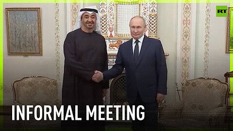 Putin praises Russia-UAE trade, humanitarian partnerships