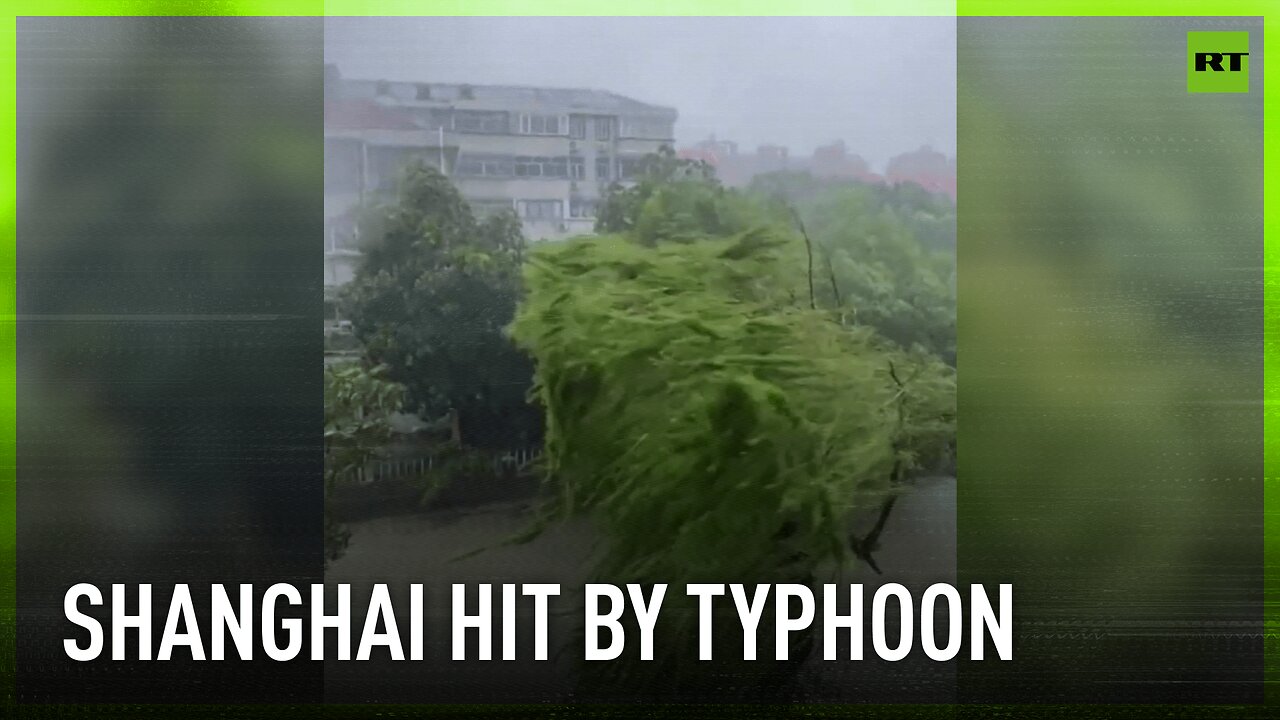 Half a million people forced to evacuate from typhoon-hit Shanghai