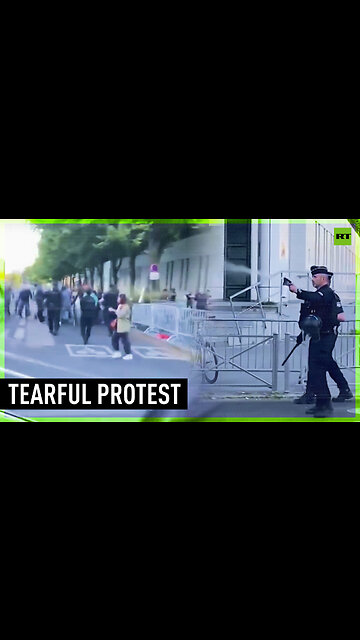 French protesters pepper-sprayed amid clashes over detained activists