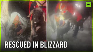 Elderly couple and their goats rescued amid snowstorm