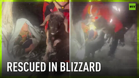 Elderly couple and their goats rescued amid snowstorm