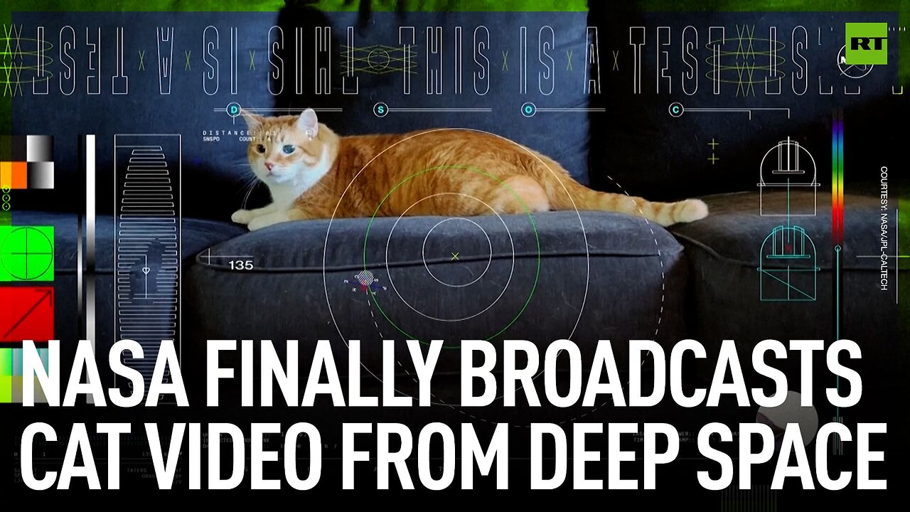 NASA finally broadcasts cat video from deep space