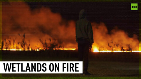 Wildfires engulf Argentina's wetland | Drone footage