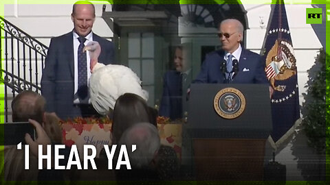 ‘Yeah, I hear ya!' – Biden to soon-to-be pardoned turkey