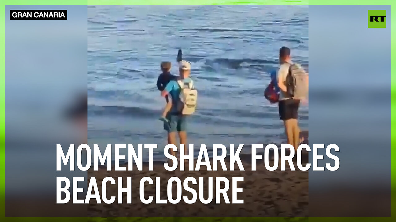 Moment shark forces beach closure