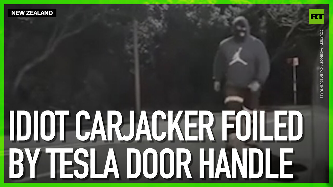 Idiot carjacker foiled by Tesla door handle