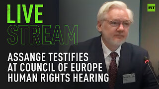 Assange testifies at Council of Europe human rights hearing in Strasbourg