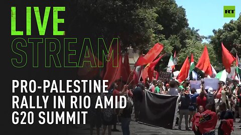 Pro-Palestine protesters rally in Rio de Janeiro during G20 Summit