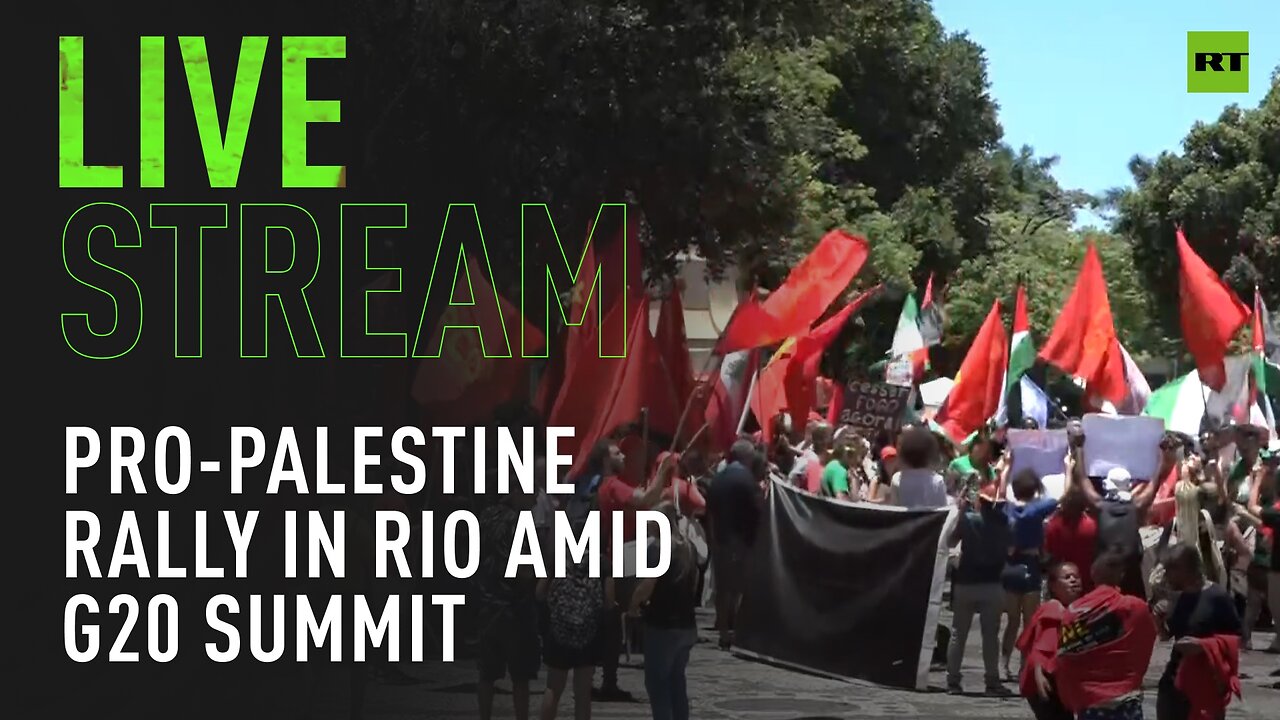 Pro-Palestine protesters rally in Rio de Janeiro during G20 Summit