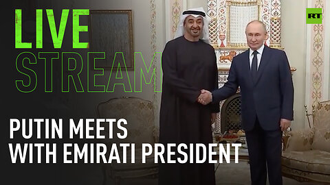 Putin meets with Emirati President