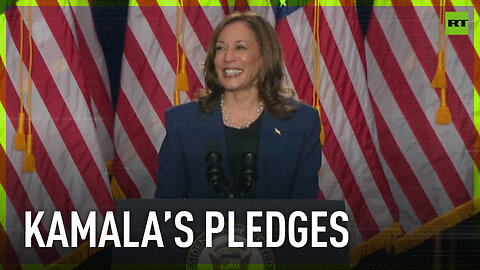 I will spend the coming weeks continuing to unite our party – Kamala Harris