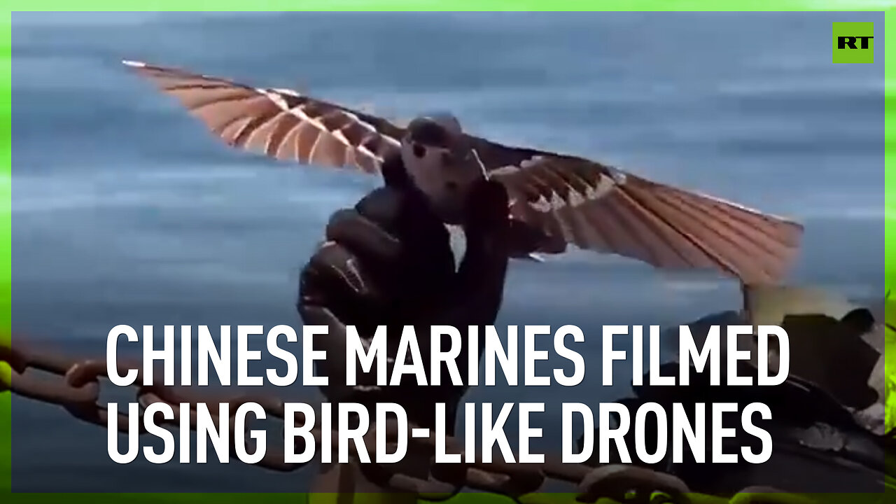 Chinese marines filmed using bird-like drones