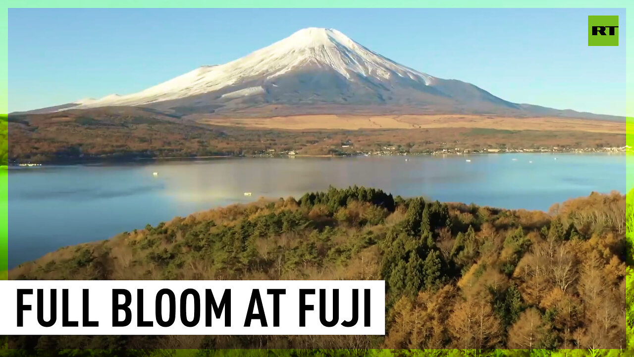 Hunting autumn leaves near Mount Fuji