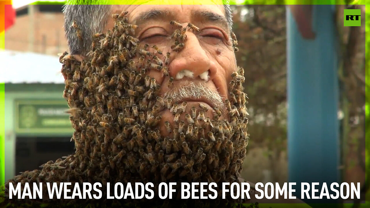 Man wears loads of bees for some reason