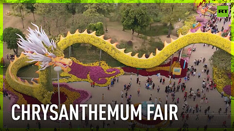 How to frame your dragon: welcome to Chrysanthemum Fair in China's Zhongshan