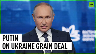 West deceived poor nations with Ukraine grain deal – Putin