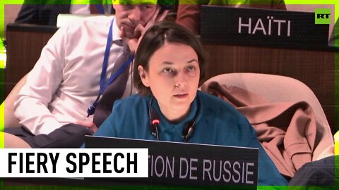 'Your hands are covered in blood' | Russian UNESCO official on Western hypocrisy