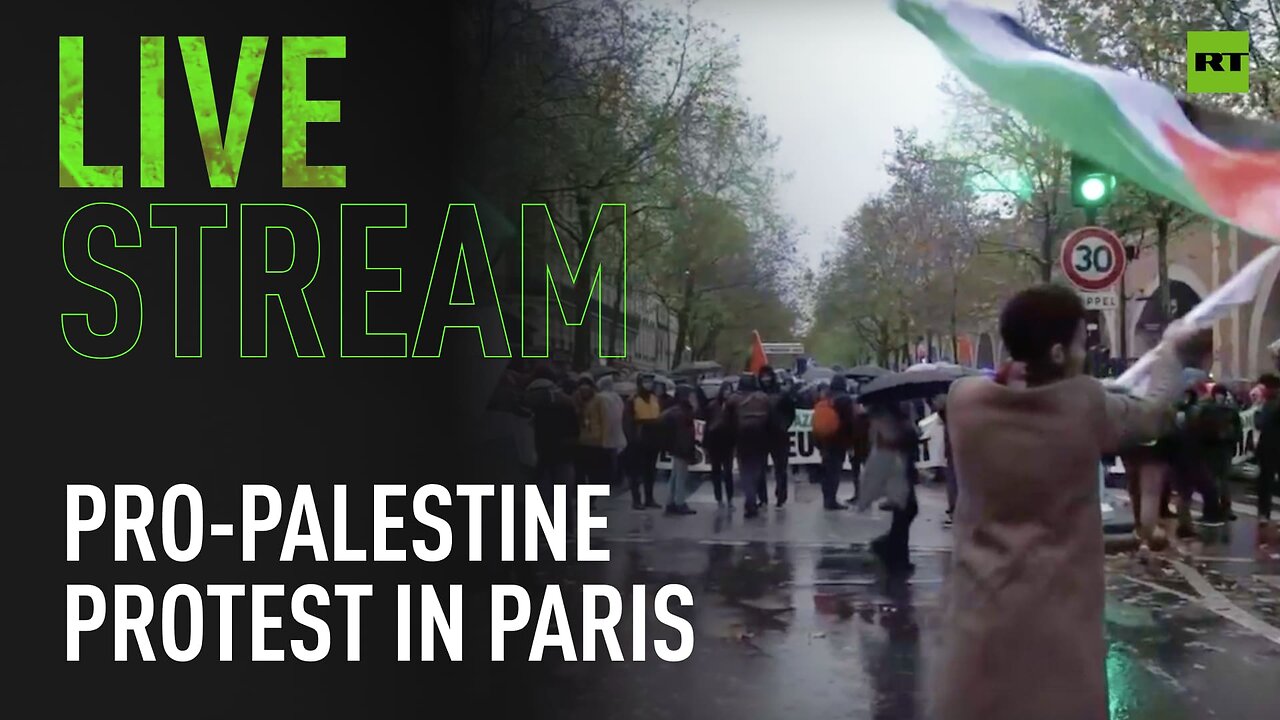 Pro-Palestine protest in Paris