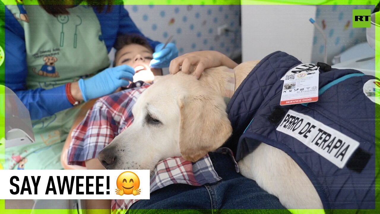 Good boi helps calm children at Ecuador dental clinic