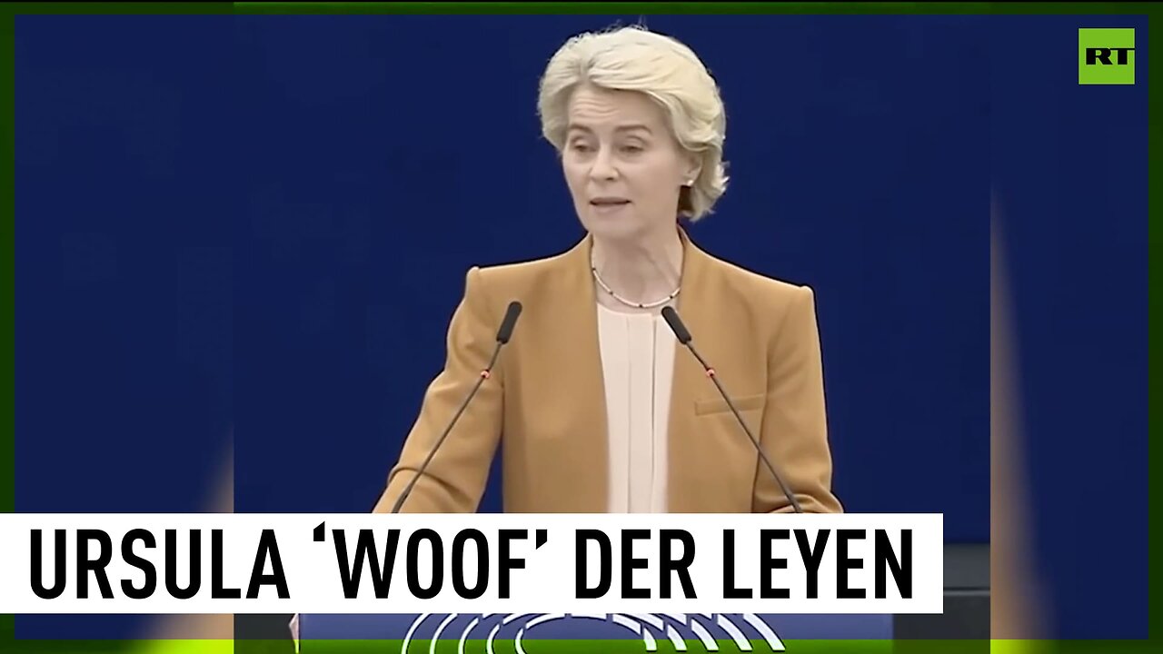 ’Who let the dogs out’ in the EU Parliament?