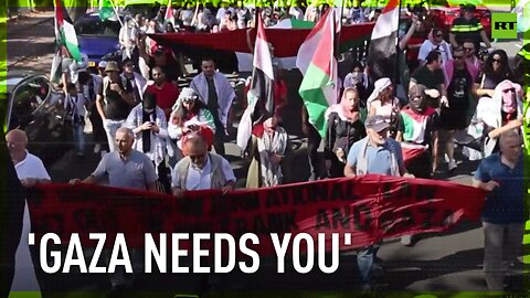 Gaza supporters in The Hague march to mark 11 months since start of war