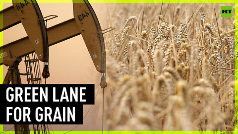 ‘Beacon of hope’ | Russia & Ukraine sign deal to unblock grain exports