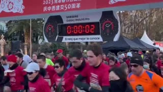 Bunny Sprint