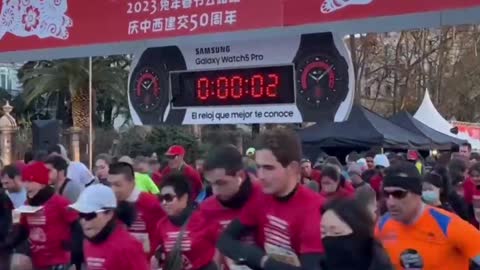Bunny Sprint