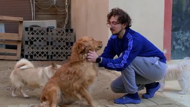 Pet Stay