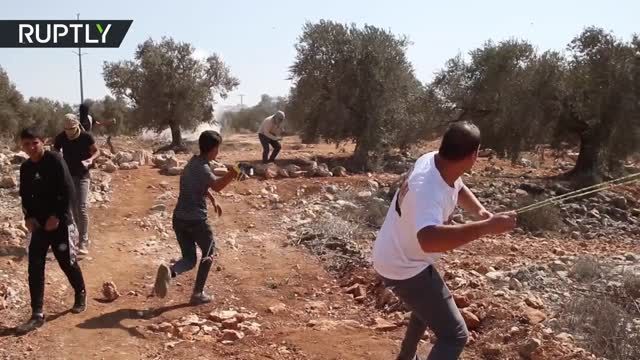 Tear gas deployed at anti-settlement protest in the West Bank’s Beita