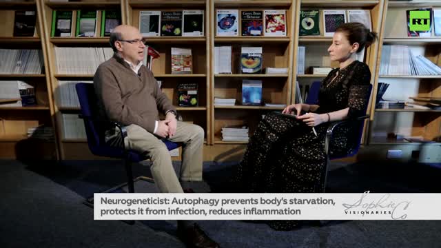 Autophagy shields a person from infection – neurogeneticist | SophieCo. Visionaries