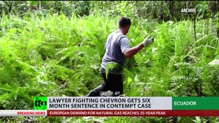 Retaliation case | Lawyer fighting Chevron gets 6-month sentence