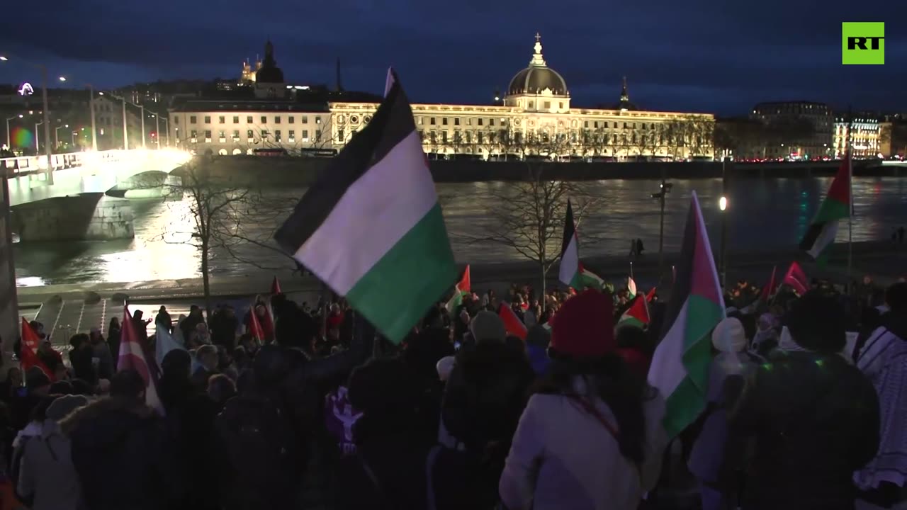 Rally for ceasefire in Gaza held in Lyon