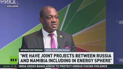 Russia-Africa joint projects based on mutual respect – Namibian Minister of Intl Relations