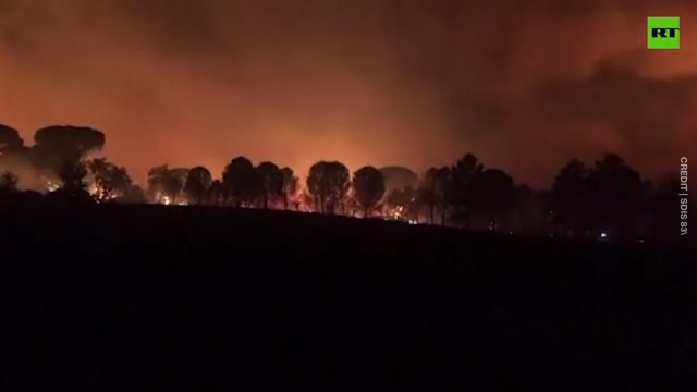 Forests in southwestern France ravaged by wildfires