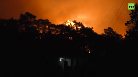 Dozens dead and injured in Latakia wildfire