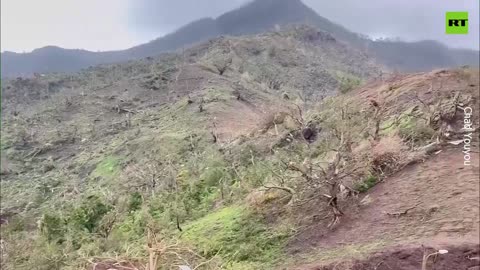 People seek shelter as deadly cyclone hits French territory of Mayotte