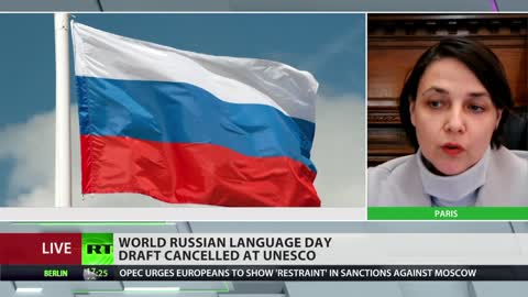 ‘Voting against a language only because it’s Russian is discrimination’ – UNESCO representative