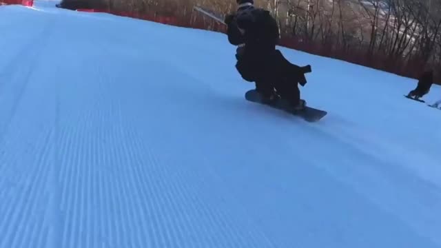 Ski-Fu