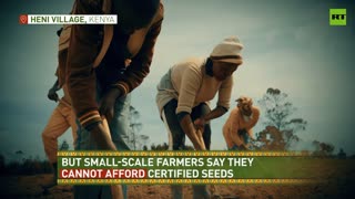 2yr sentence for exchanging seeds? | Kenyan farmers wage battle with national legislation