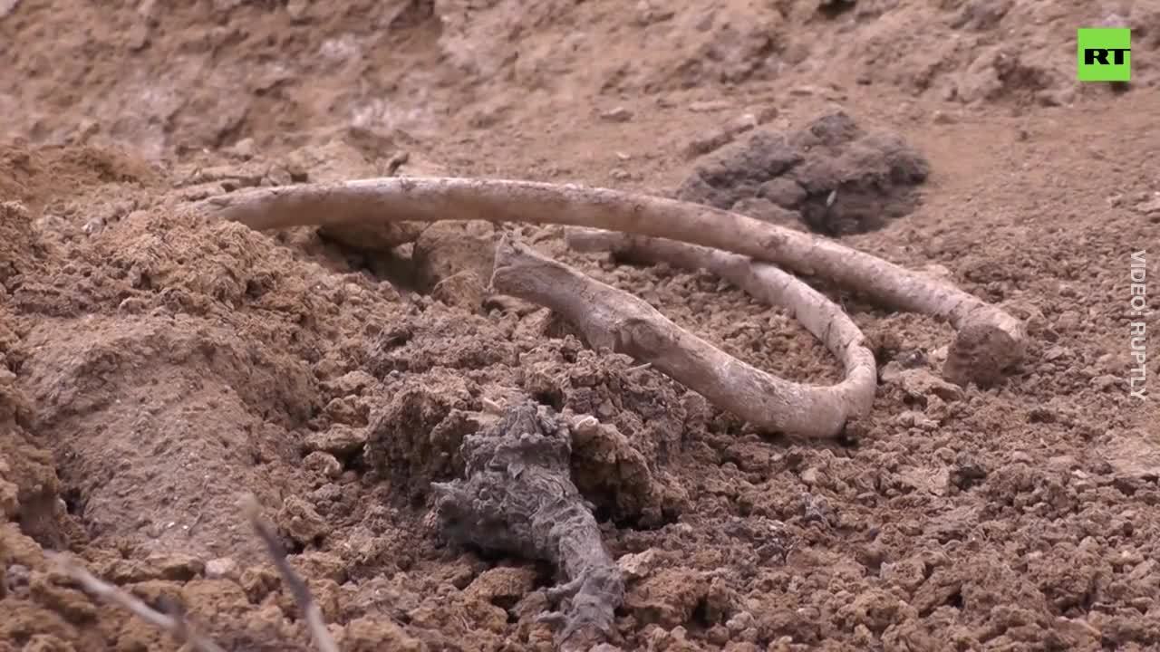 What the...?! | HUMAN BONES discovered beneath Crimean beach