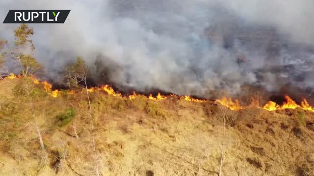 Huge blaze consumes bio reserve in Brazil