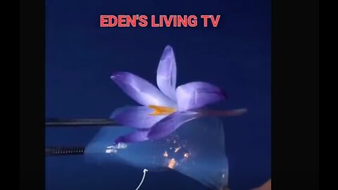 What are AEROGELS _ Eden's Living TV