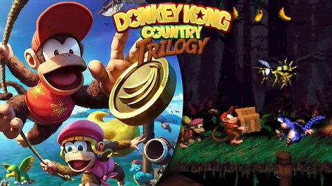 Donkey Kong Country 2: Trilogy Ep.[05] - O pesadelo que é a Abelha Gigante!