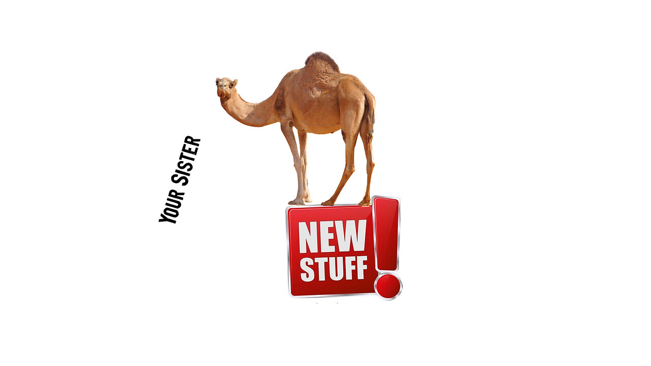 NEW STUFF and INSANITY Humpday Live with the Industry Killers!